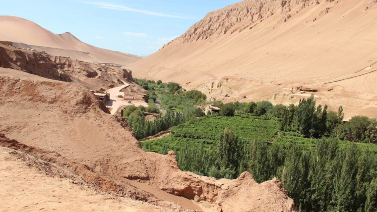 The Whole Peace of God